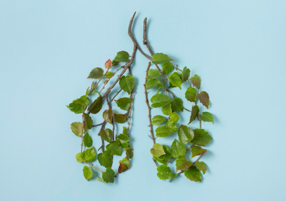 Свободное дыхание