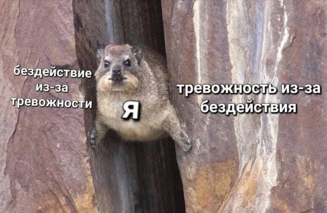 Без паники