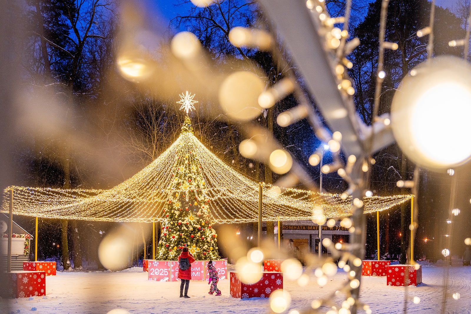 Орехи для белок и светящиеся коньки: в каких парках погулять этой зимой