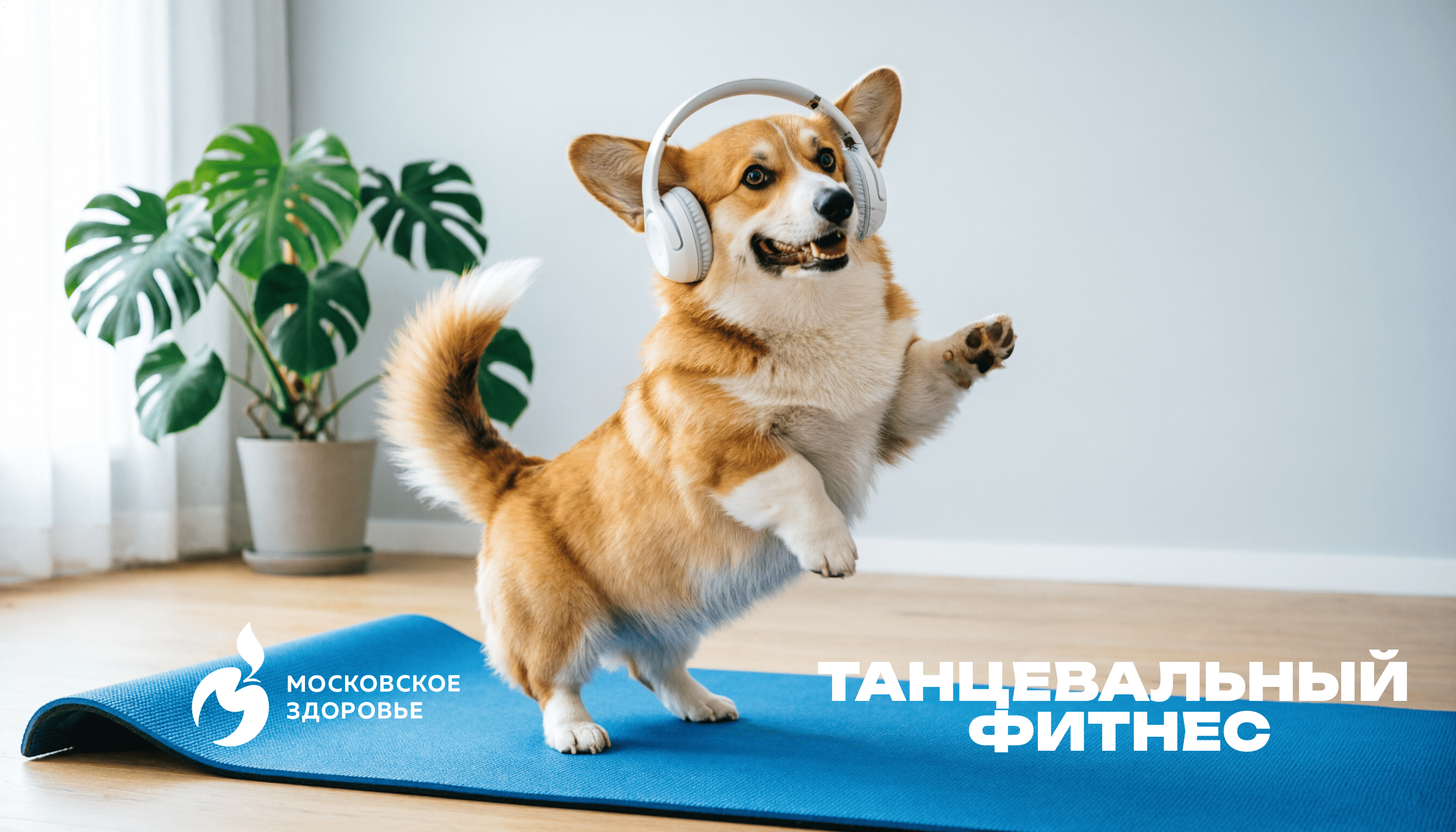 Танцевальный фитнес