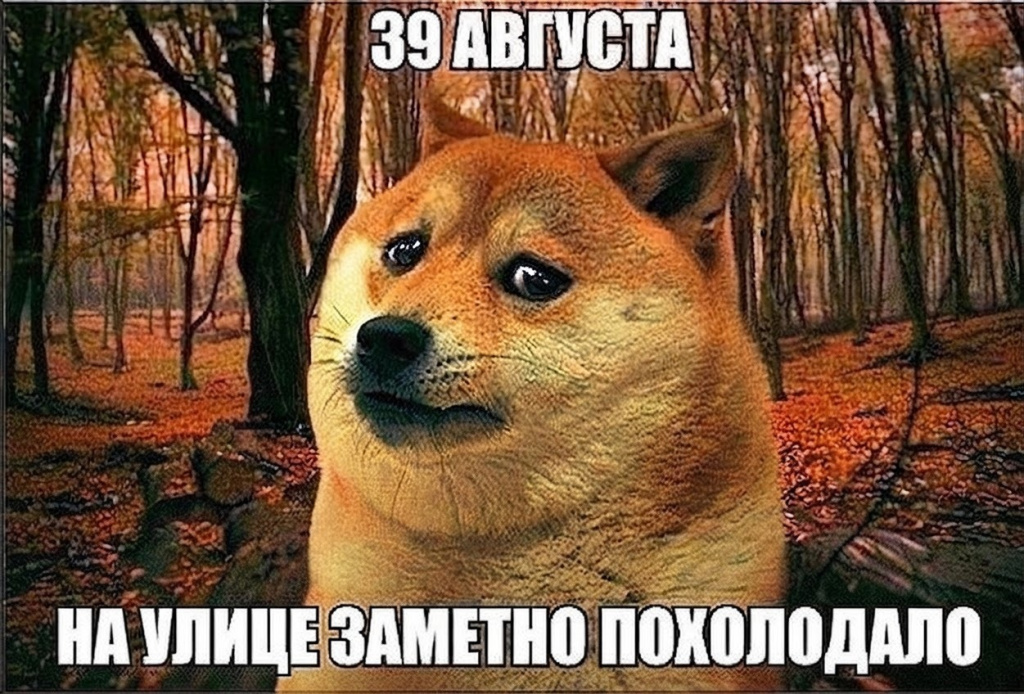 1788854589374-01a0800c-1133-7462-a578-be741d908ed6.jpeg