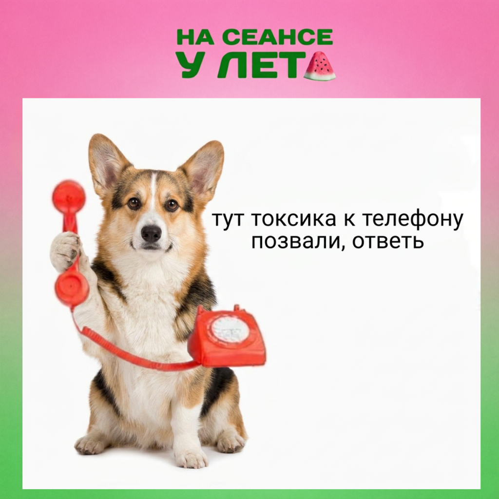 всщра.png
