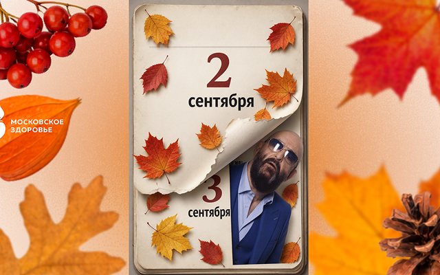 шафу.png шафу.png